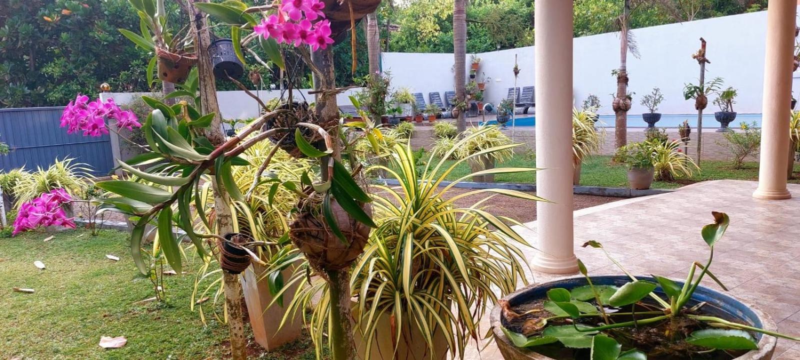 Turtle Paradise Villa Kosgoda Exterior foto